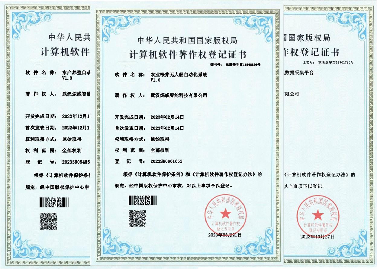 知识产权证书